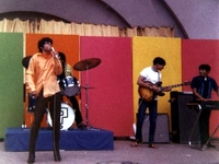 ? & The Mysterians