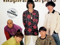 Inspiral Carpets